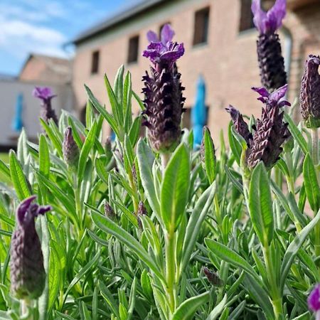 Bingers Kleine Scheune Willich Bagian luar foto