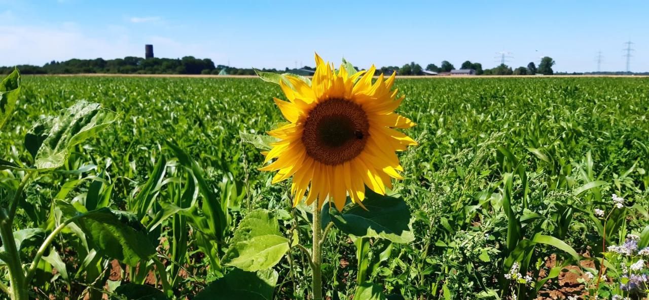 Bingers Kleine Scheune Willich Bagian luar foto