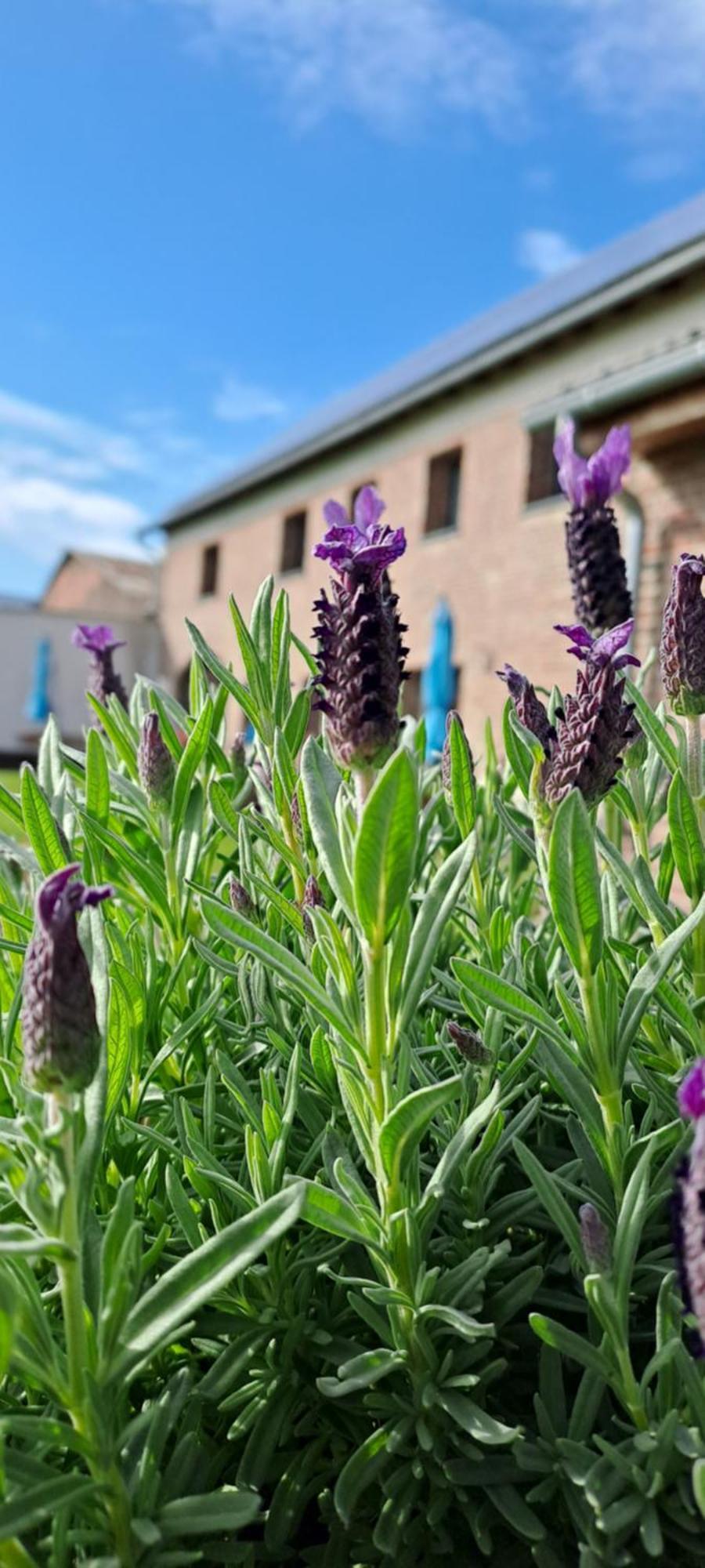 Bingers Kleine Scheune Willich Bagian luar foto